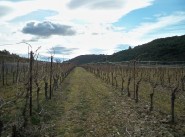 Terreno Saint Nazaire De Ladarez